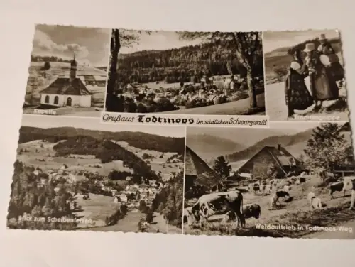 Gruß aus Todtmoos Postkarte: