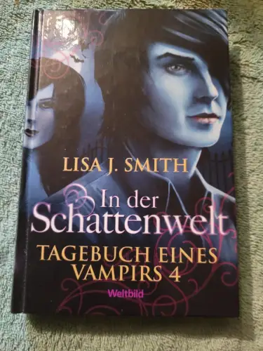 Tagebuch eines Vampirs 4 Smith, Lisa J., Ingrid Gross und Kerstin (Mitwirkender)
