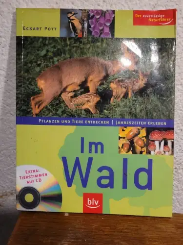 Im Wald: Im Wald Eckart Pott: