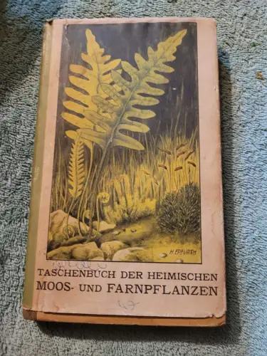 Taschenbuch - Der Heimischen Moos und Farnpflanzen
