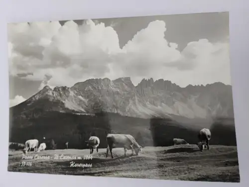Passo Carerra - Il Latemar Postkarte: