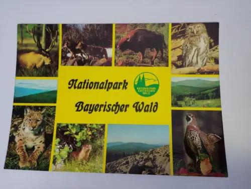 Nationalpark - Bayerischer Wald Postkarte: