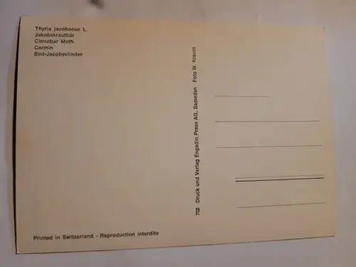 Jakobskrautbär Postkarte: