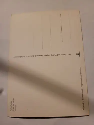 Perserkatze Postkarte: