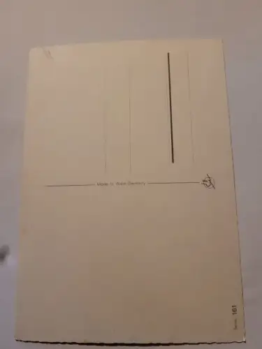 2 Collies Postkarte: