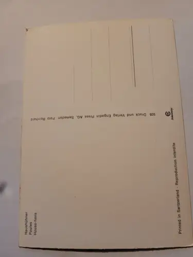 Haushühner Postkarte: