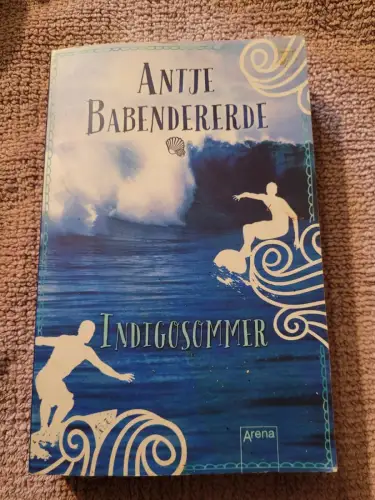 Indigosommer Arena-Taschenbuch Babendererde, Antje: