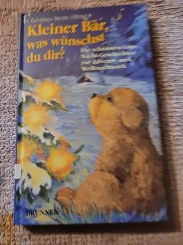 Kleiner Bär, was wünschst du dir? - die schönsten Gute-Nacht-Geschichten zur Adv