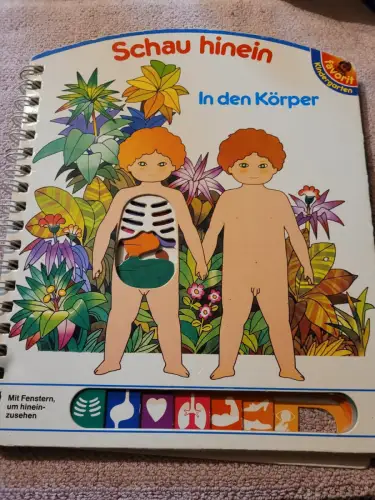 Schau hinein in den Körper - mit Fenstern, um hineinzusehen.