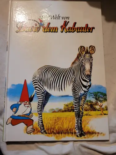 Die Welt von David dem Kabauter - Band 11 George, Susanne: