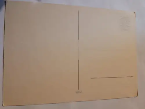 3 Hunde Postkarte: