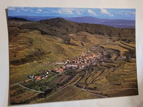 Weindorf Bickensohl am Kaiserstuhl Postkarte: