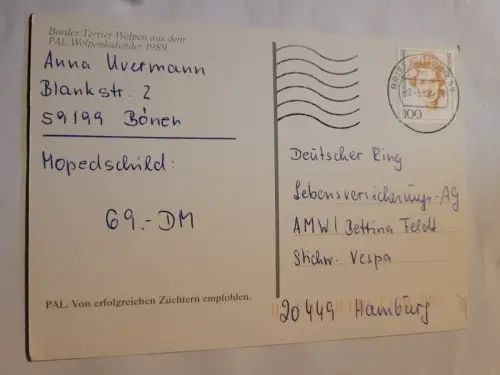 Border Terrier Welpen Postkarte: