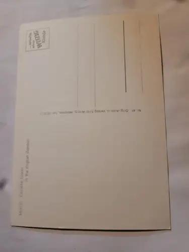 München - Chinesischer Turm Postkarte: