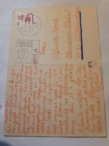 Hund auf Decke Postkarte: