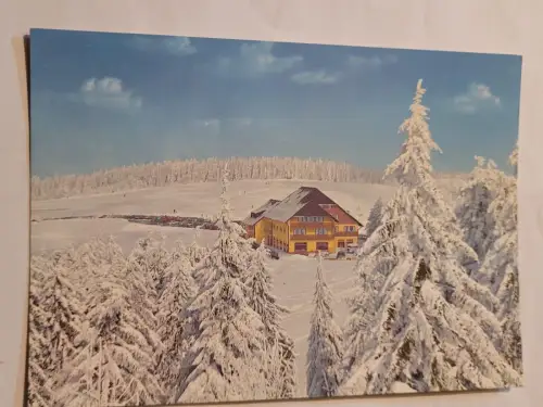 Berghotel Kandel Postkarte: