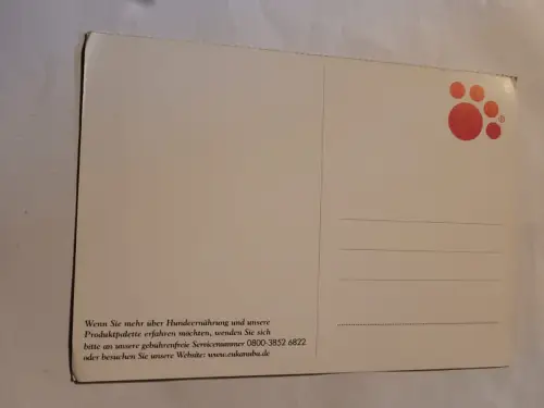 Dalmatiner Postkarte: