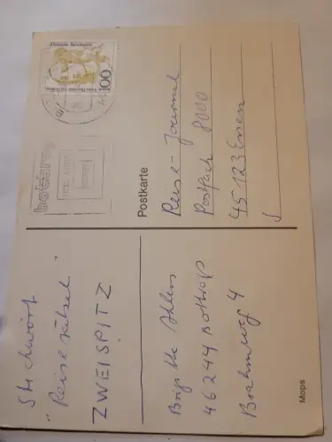Mops Postkarte: