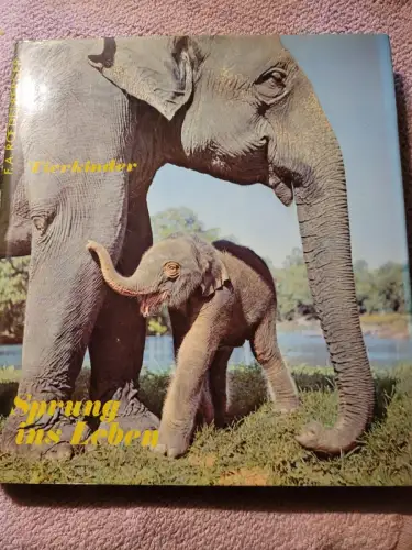 Tierkinder - Sprung ins Leben