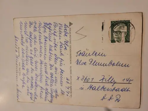 Murmeltier Postkarte: