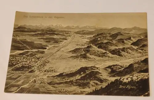 Das Schlachtfeld in den Vogesen Postkarte: