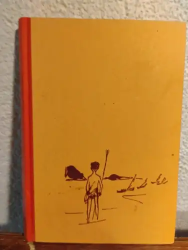 Die Vulkan Insel Tennant: