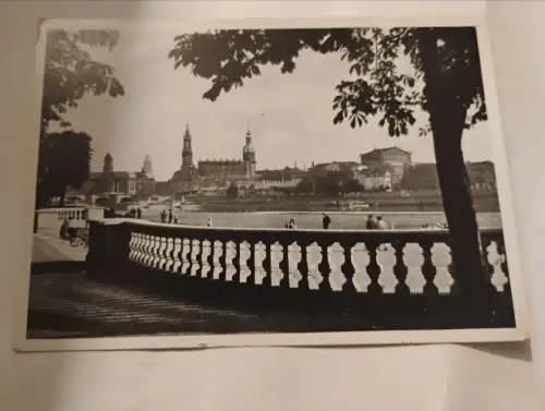 Dresden am Königsufer beim japanischen Palais Postkarte:
