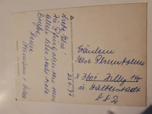 Enten im Wasser Postkarte: