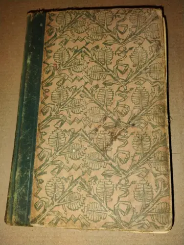 Zickzack des Lebens - Roman Hans Richter: