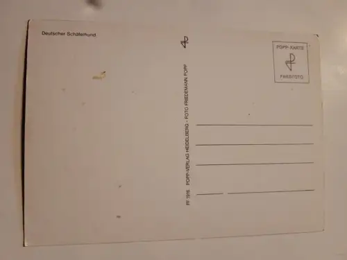 Schäferhund Postkarte: