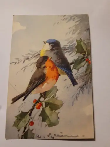 Vögel auf Zweig Postkarte: