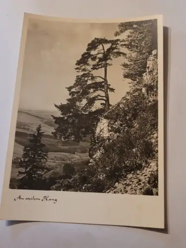 An steilem Hang Postkarte: