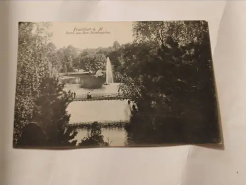 Frankfurt am Main - Partie aus dem Palmengarten Postkarte:
