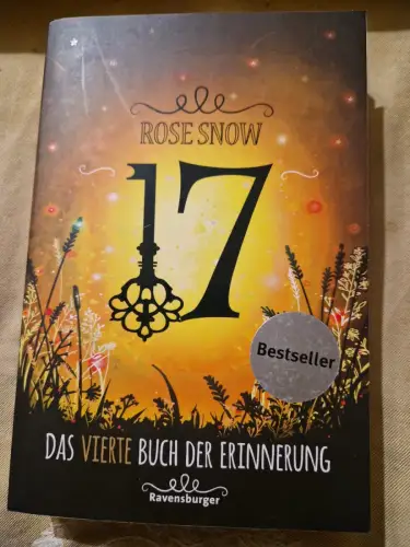 17, Das vierte Buch der Erinnerung