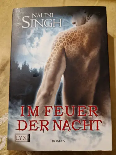 Im Feuer der Nacht Singh, Nalini und Nora Lachmann:
