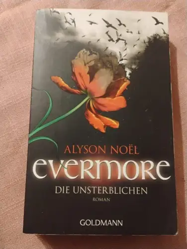 Evermore 1 - Die Unsterblichen Roman Noel, Alyson: