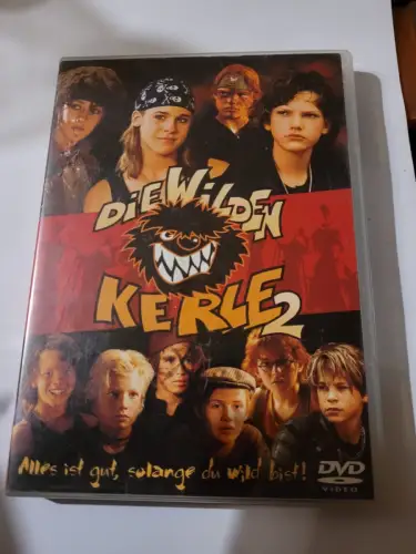 Die wilden Kerle 2 (DVD)