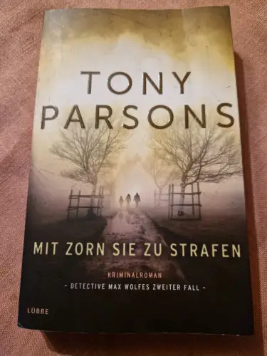 Mit Zorn sie zu strafen Detective Max Wolfes zweiter Fall. Kriminalroman Parsons