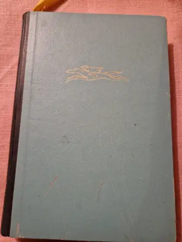 Der Schimmelreiter Storm, Theodor: