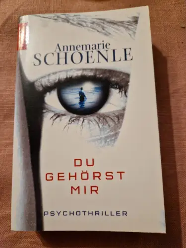 Du gehörst mir Psychothriller Schoenle, Annemarie: