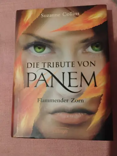 Die Tribute von Panem 3. Flammender Zorn Collins, Suzanne, Hanna Hörl und Sylke 