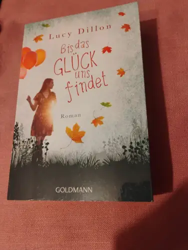 Bis das Glück uns findet Roman Dillon, Lucy und Claudia Franz: