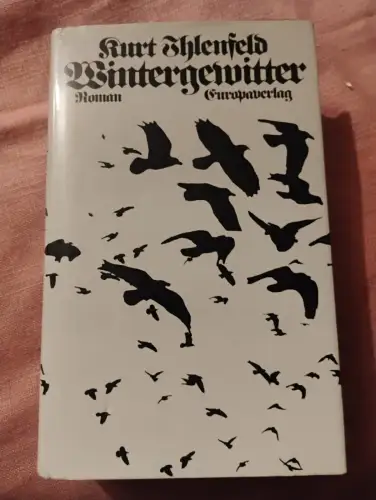 Wintergewitter - Roman Kurt Ihlenfeld: