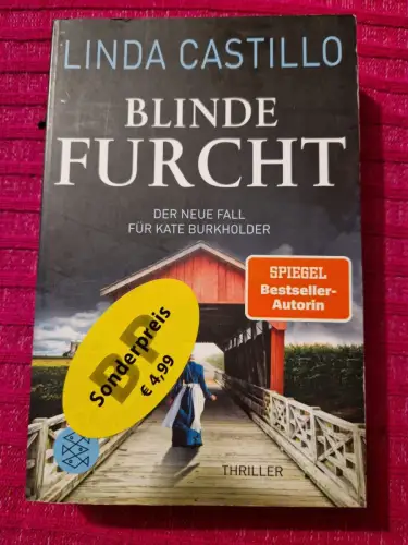Blinde Furcht Thriller | Spannender Thriller bei den Amischen Castillo, Linda un