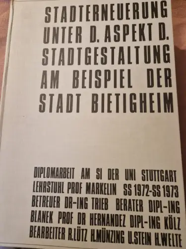 Stadterneuerung unter dem Aspekt der Stadtgestaltung am Beispiel der Stadt Bieti