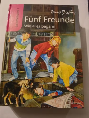 Fünf Freunde - Wie alles begann ? Sammelband 1 Enid Blyton: