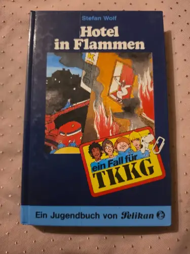 TKKG / Hotel in Flammen Wolf, Stefan, Reiner Stolte und Egon Fein: