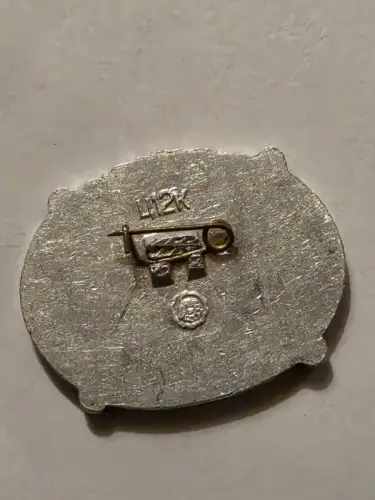 Alter Anstecker Gebäude