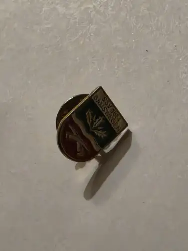 Pin - SSV 1884 Samswegen