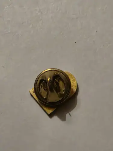 Pin - SSV 1884 Samswegen